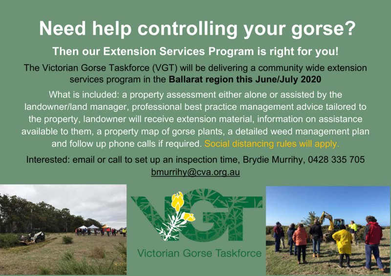 Victorian Gorse Taskforce Information 1.jpg